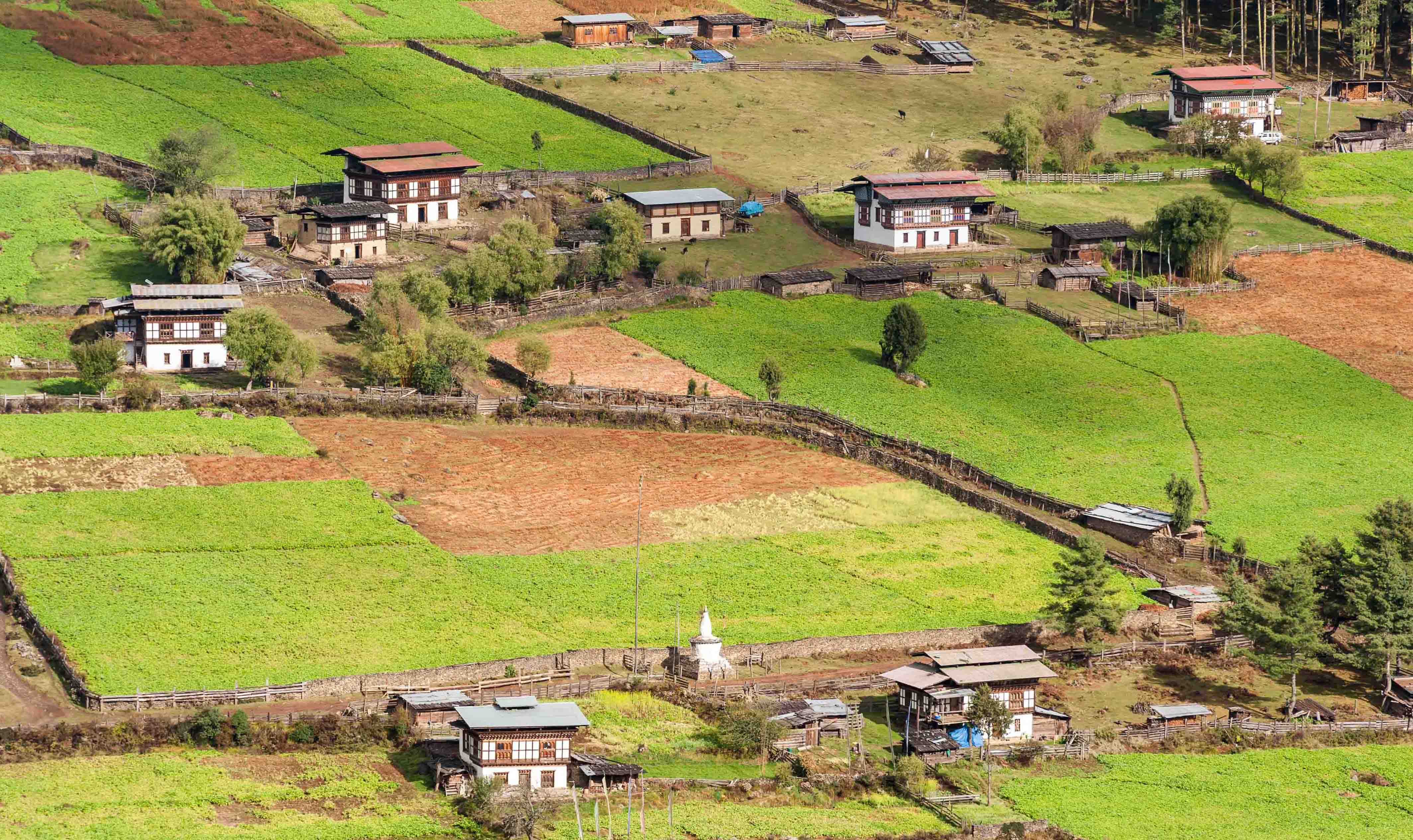 Peaceful Journeys to Bhutan for You