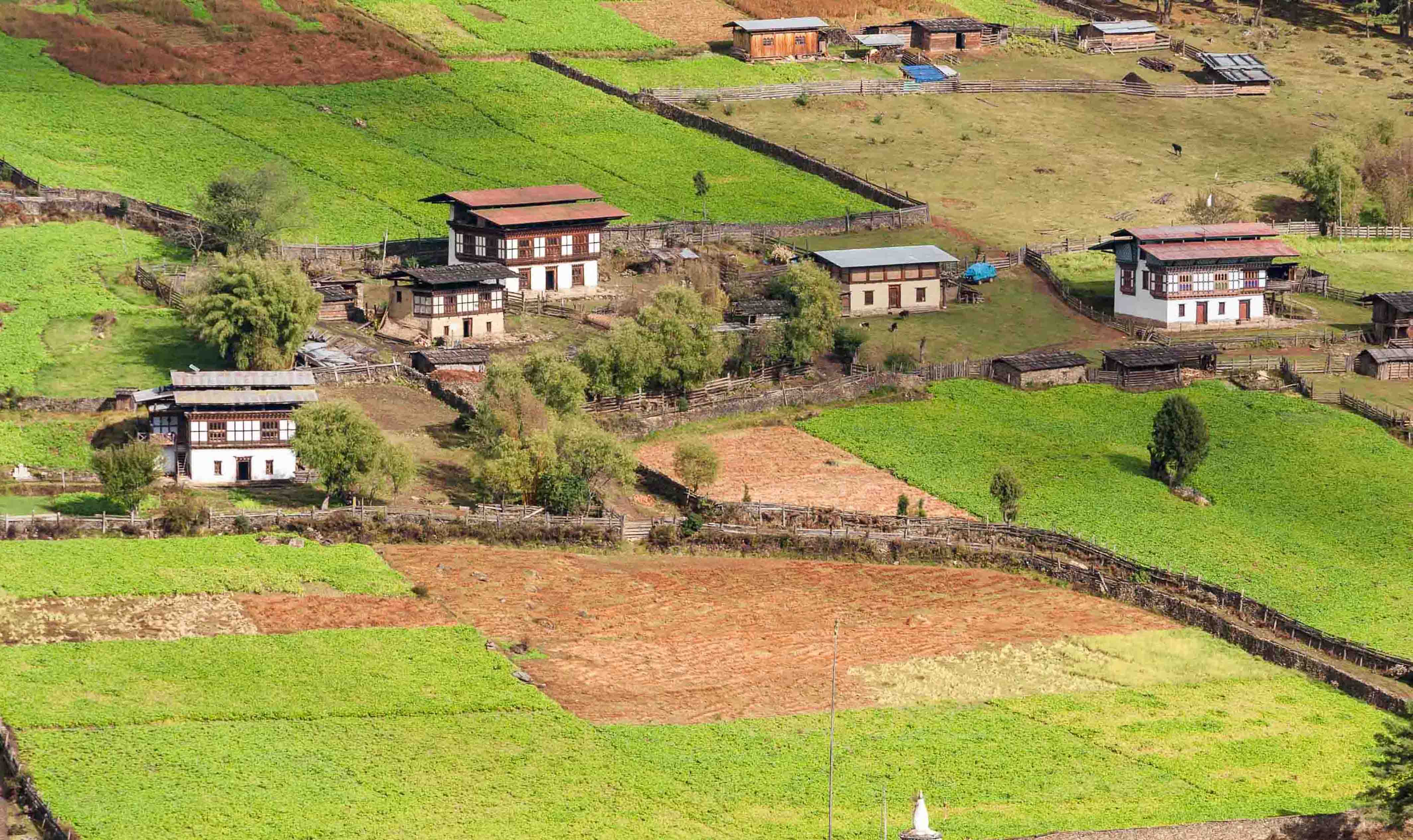 Farmer of Bhutan