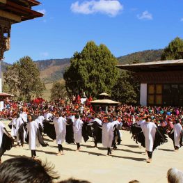 Black Necked Crane Festival – 11 November, 2023