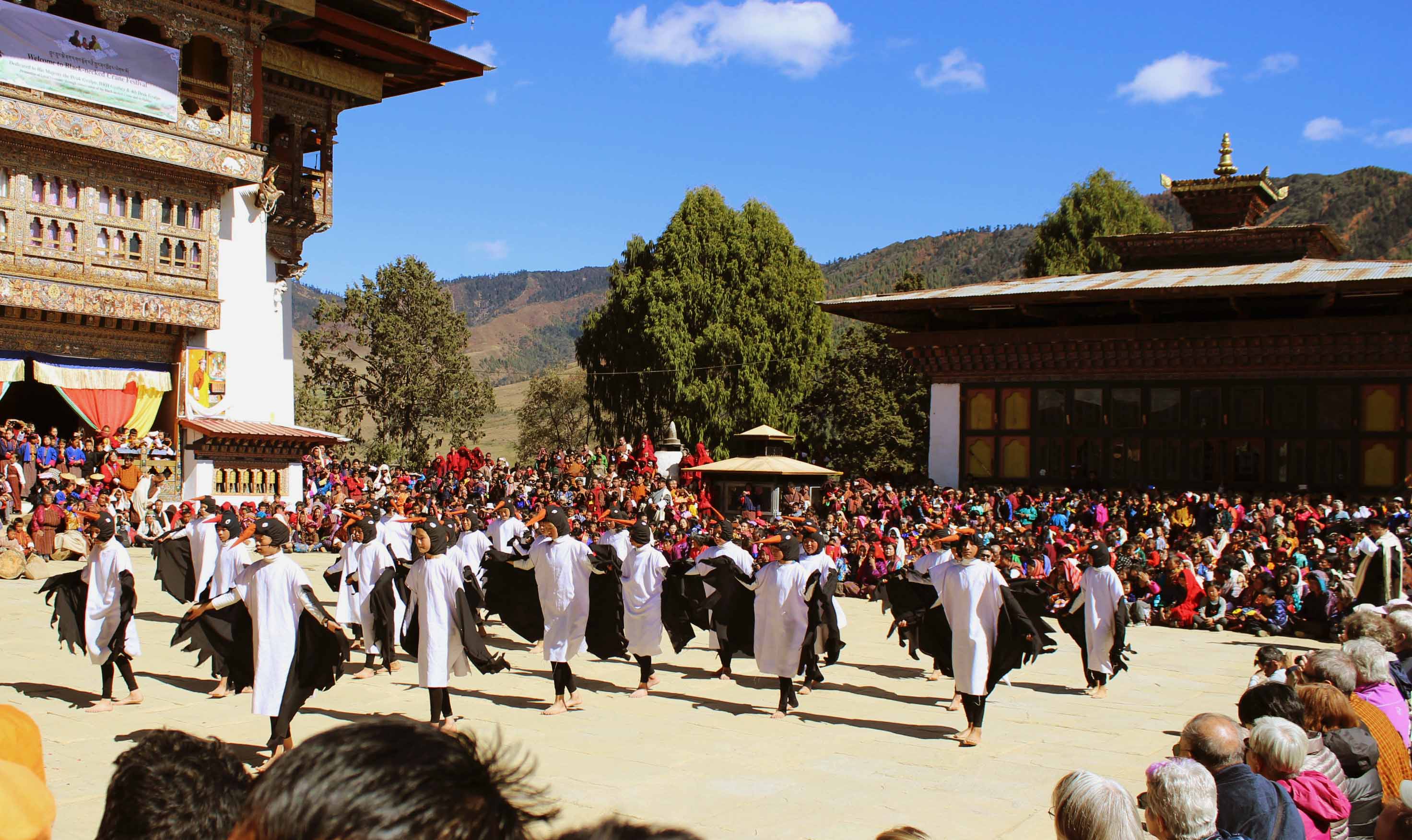 Black Necked Crane Festival – 11 November, 2023
