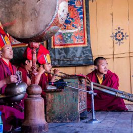 Talo Festival – 01 to 03 April, 2020