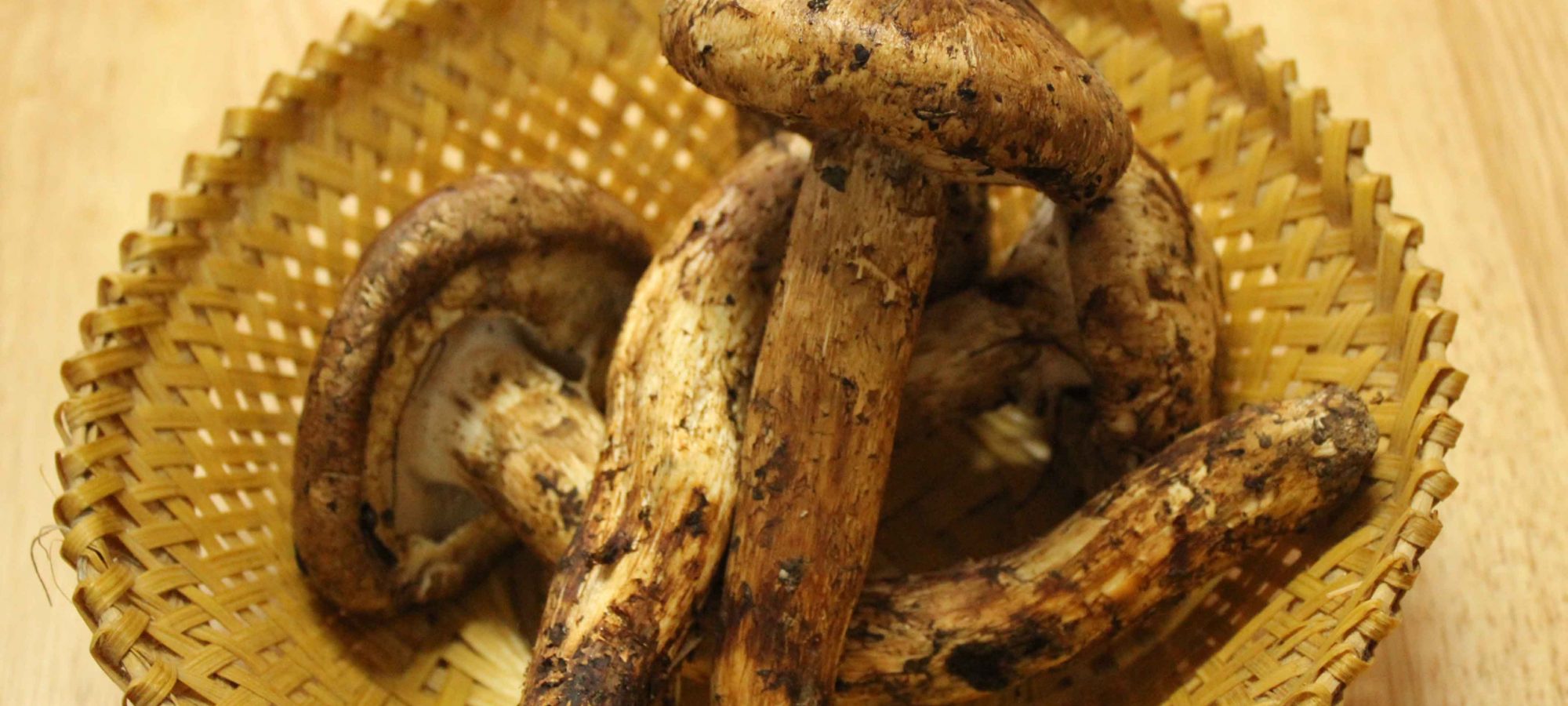 Genekha Mushroom Festival – 22 & 23 Aug, 2020