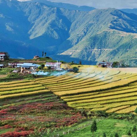 Radhi Village