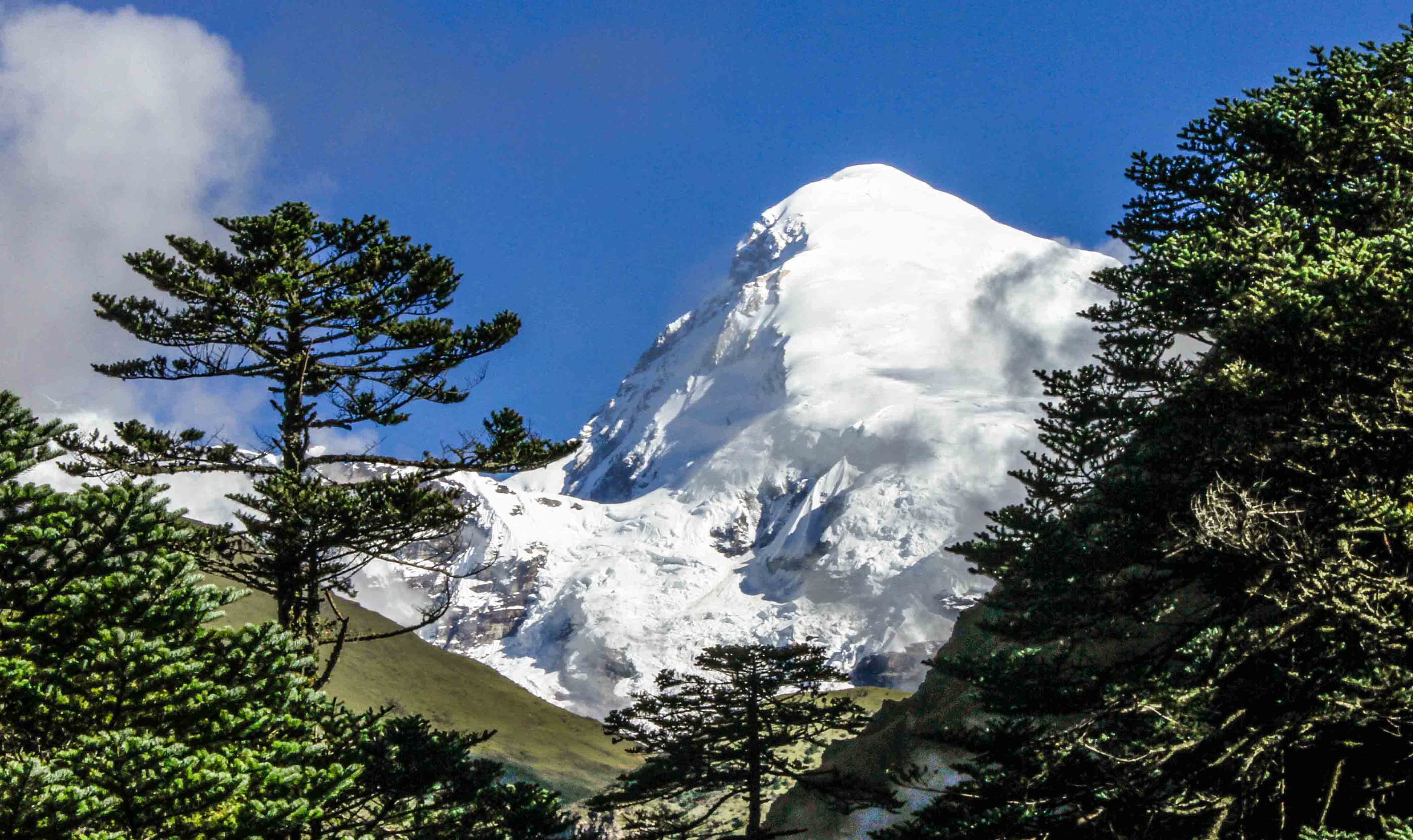 11 Nights 12 Days – Jomolhari Trek