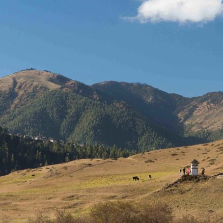 7 Nights 8 Days – Gangtey Trek